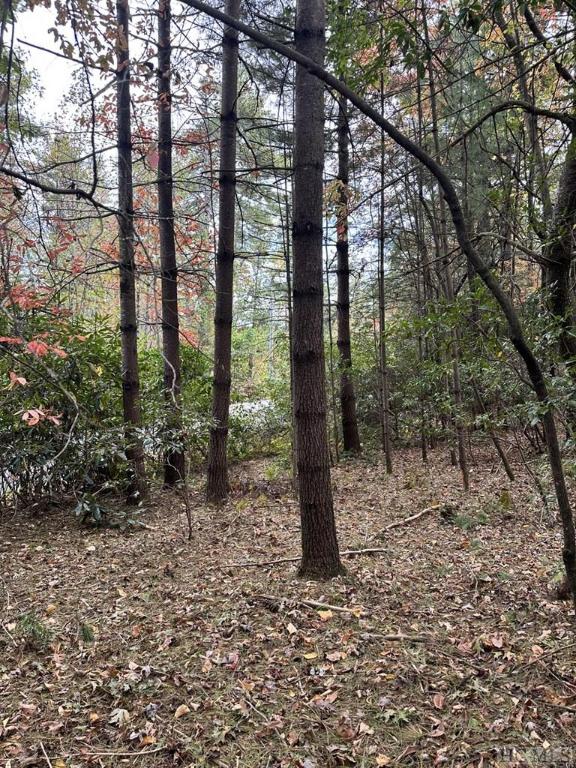 Listing photo 3 for LOT55 Lupton Rd, Sapphire NC 28774