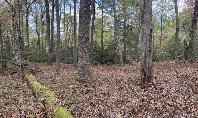 Listing photo 2 for LOT55 Lupton Rd, Sapphire NC 28774