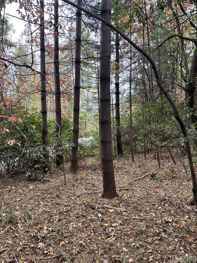 LOT55 Lupton Rd, Sapphire NC, 28774 land for sale