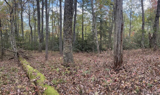 LOT55 Lupton Rd, Sapphire NC, 28774 land for sale