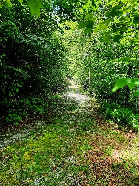 41L Cardinal Dr W, Lake Toxaway, NC 28747
