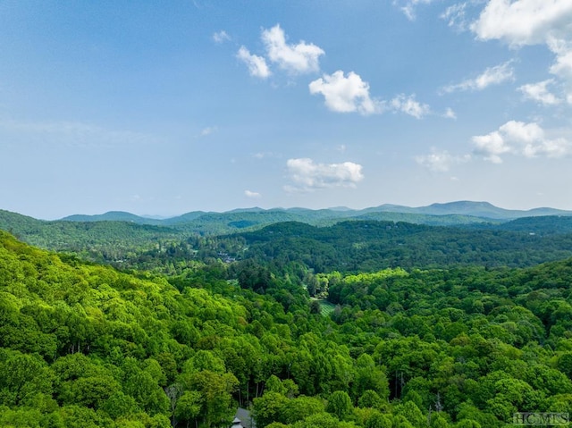 56A Lower Brushy Face Rd, Highlands NC, 28741 land for sale