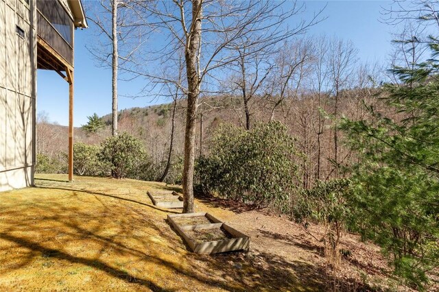 1034 E Rochester Dr, Cashiers, NC 28717 - view of yard with a balcony