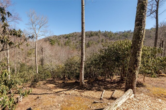 1034 E Rochester Dr, Cashiers, NC 28717 - view of yard featuring a wooded view