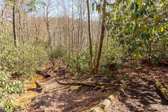 1034 E Rochester Dr, Cashiers, NC 28717 - view of wooded area