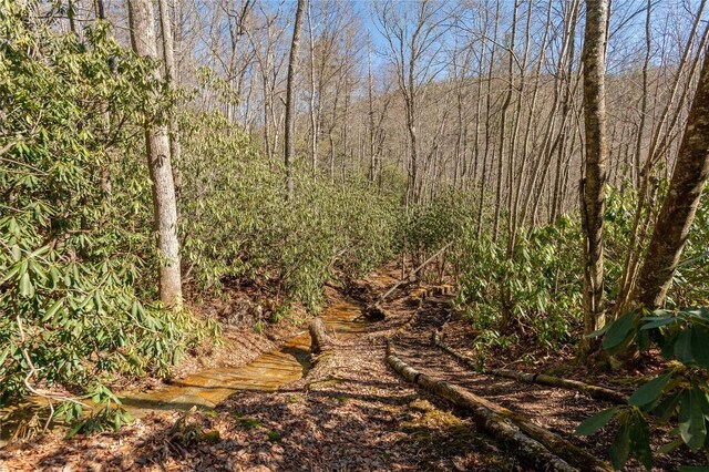 1034 E Rochester Dr, Cashiers, NC 28717 - view of nature