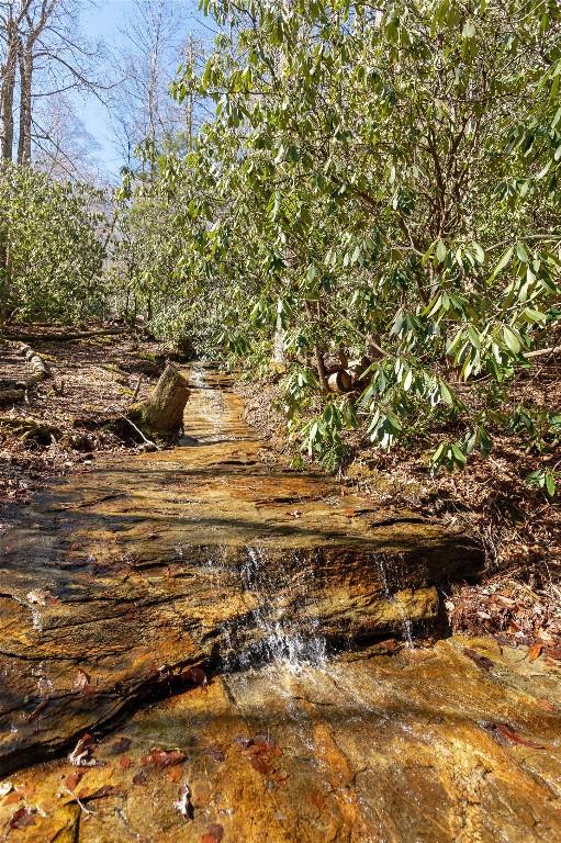 1034 E Rochester Dr, Cashiers, NC 28717 - view of nature