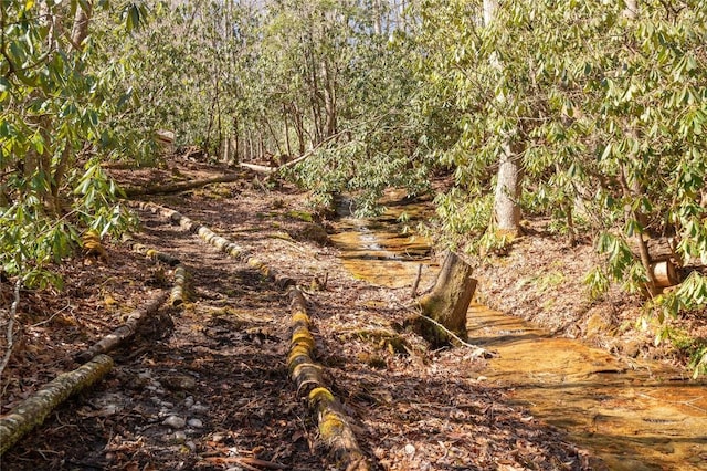1034 E Rochester Dr, Cashiers, NC 28717 - view of undeveloped land