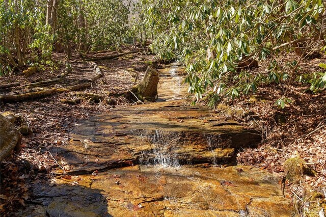 1034 E Rochester Dr, Cashiers, NC 28717 - view of undeveloped land