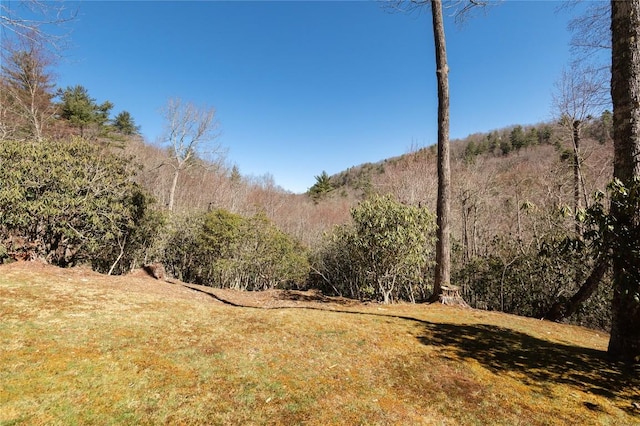1034 E Rochester Dr, Cashiers, NC 28717 - view of grassy yard with a wooded view
