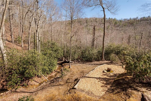 1034 E Rochester Dr, Cashiers, NC 28717 - view of yard featuring a forest view