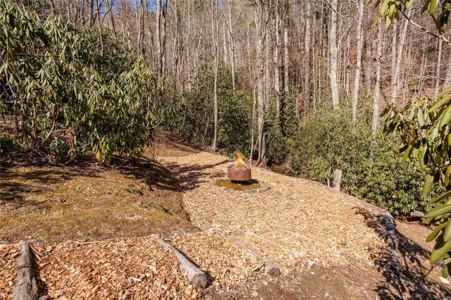 1034 E Rochester Dr, Cashiers, NC 28717 - view of yard featuring a view of trees