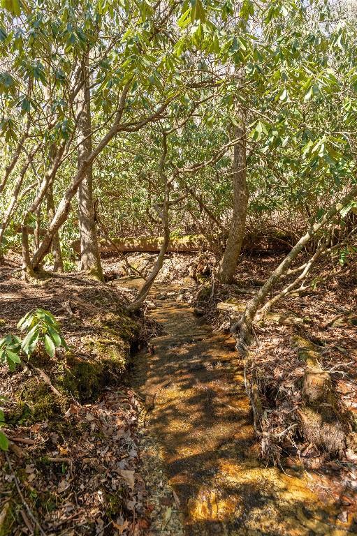 1034 E Rochester Dr, Cashiers, NC 28717 - view of undeveloped land