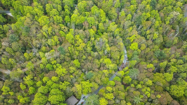 44 Holly Rd, Sapphire, NC 28774 - photo 11