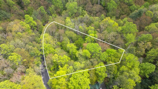 44 Holly Rd, Sapphire, NC 28774 - photo 3