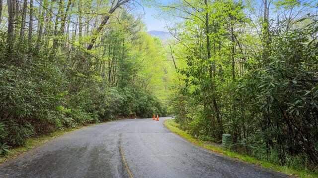 44 Holly Rd, Sapphire, NC 28774 - photo 2
