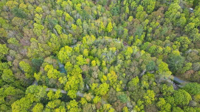 44 Holly Rd, Sapphire, NC 28774 - photo 12