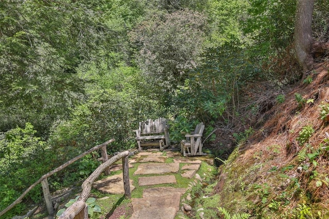 131 Big Creek Ln, Highlands, NC 28741 - view of yard