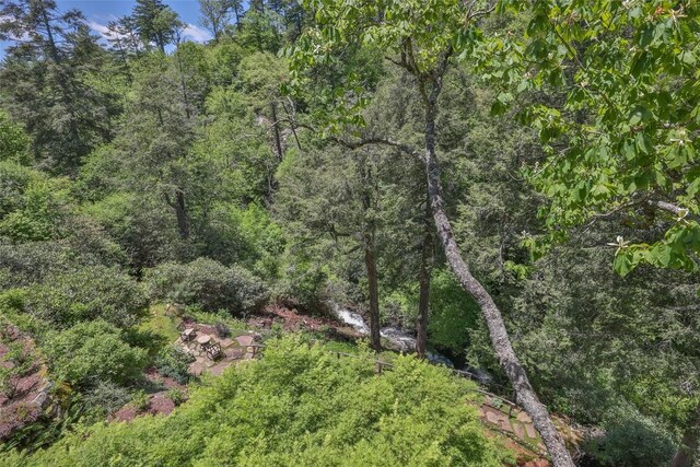 131 Big Creek Ln, Highlands, NC 28741 - view of woods