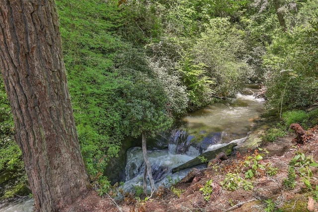 131 Big Creek Ln, Highlands, NC 28741 - view of tree filled area