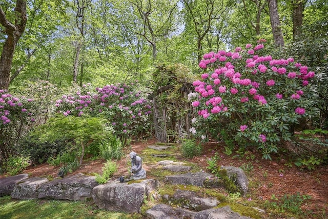 131 Big Creek Ln, Highlands, NC 28741 - view of yard with a wooded view