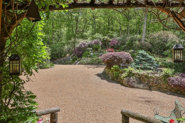 131 Big Creek Ln, Highlands, NC 28741 - view of yard with a view of trees