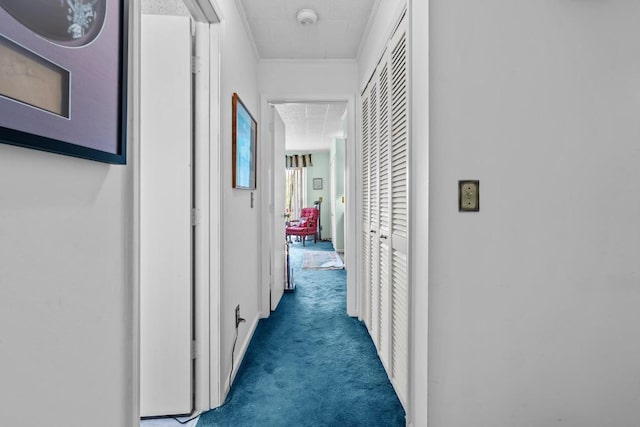hall featuring attic access, carpet floors, and crown molding