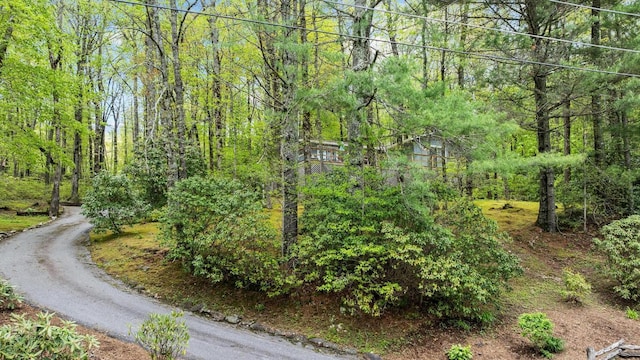 view of community featuring a forest view