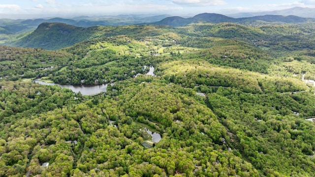 bird's eye view of a water and mountain view and a heavily wooded area