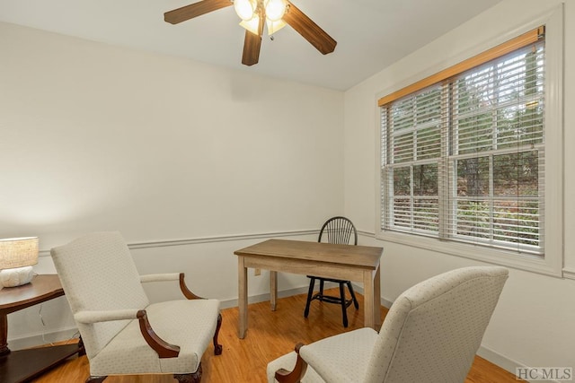 office with ceiling fan, light hardwood / wood-style flooring, and a healthy amount of sunlight