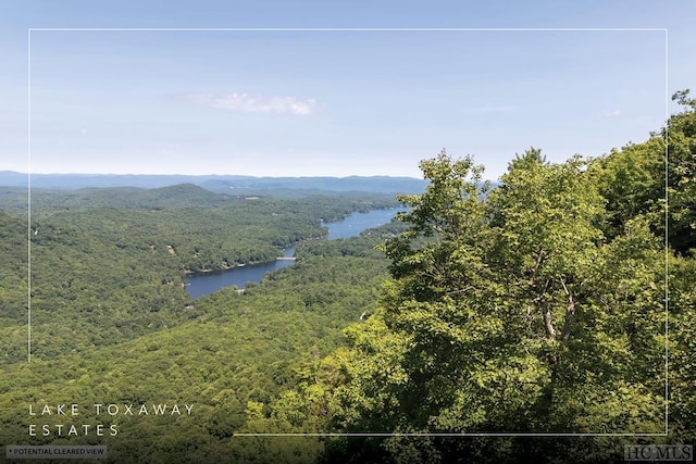 LOT7 Meadow Ridge Rd, Lake Toxaway NC, 28747 land for sale