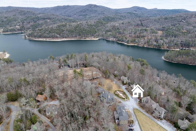 drone / aerial view featuring a forest view and a water and mountain view