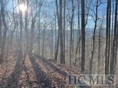 528 Early Deitz Rd, Sylva NC, 28779 land for sale