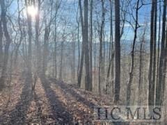 528 Early Deitz Rd, Sylva NC, 28779 land for sale