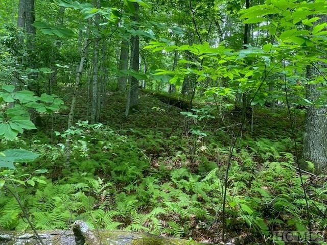 LOT25 Rainbow Trout, Tuckasegee NC, 28783 land for sale