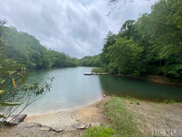 LOT25 Rainbow Trout, Tuckasegee, NC 28783 - photo 13