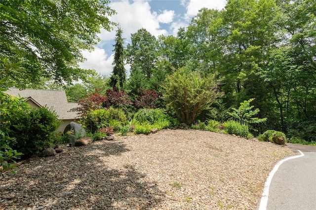 614 Fairway Dr, Lake Toxaway, NC 28747 - view of yard