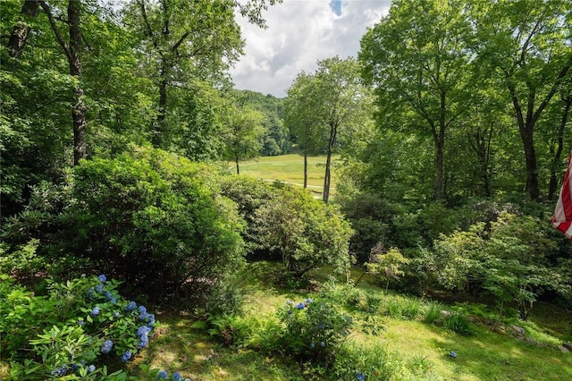 614 Fairway Dr, Lake Toxaway, NC 28747 - view of wooded area