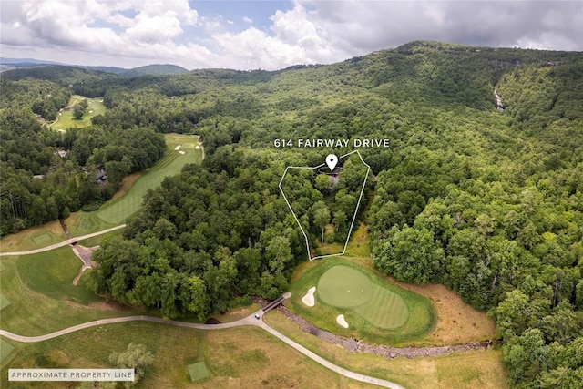614 Fairway Dr, Lake Toxaway, NC 28747 - aerial overview of property's location featuring property boundaries highlighted and mountains