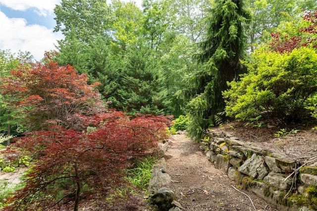 614 Fairway Dr, Lake Toxaway, NC 28747 - view of local wilderness