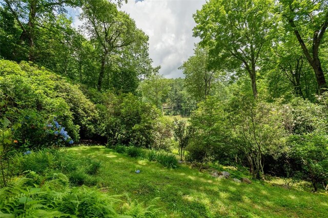 614 Fairway Dr, Lake Toxaway, NC 28747 - view of woods