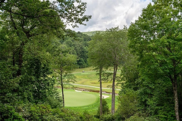 614 Fairway Dr, Lake Toxaway, NC 28747 - view of home's community featuring a putting area and a yard