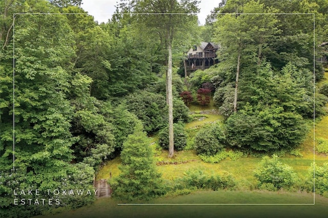 614 Fairway Dr, Lake Toxaway, NC 28747 - view of yard