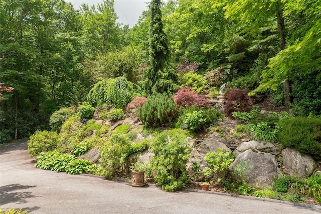 614 Fairway Dr, Lake Toxaway, NC 28747 - view of woods