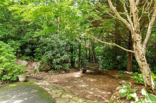 614 Fairway Dr, Lake Toxaway, NC 28747 - view of yard
