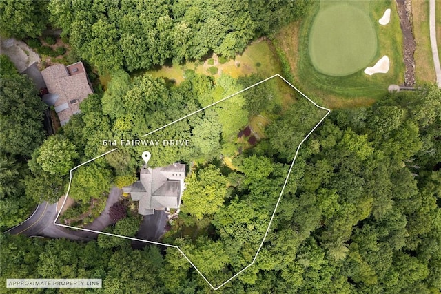 614 Fairway Dr, Lake Toxaway, NC 28747 - aerial view of property's location with property boundaries highlighted