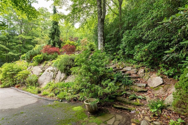 614 Fairway Dr, Lake Toxaway, NC 28747 - view of yard