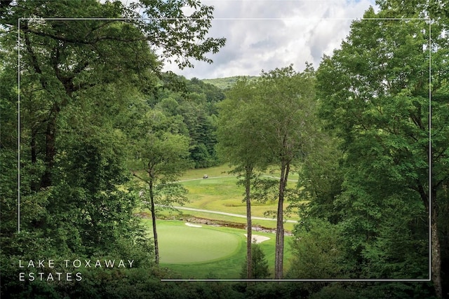 614 Fairway Dr, Lake Toxaway, NC 28747 - view of community featuring a yard, an area to practice putting, and golf course view
