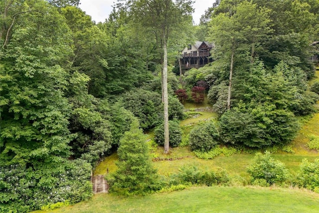 614 Fairway Dr, Lake Toxaway, NC 28747 - view of yard