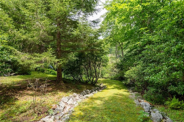 614 Fairway Dr, Lake Toxaway, NC 28747 - view of yard featuring a forest view